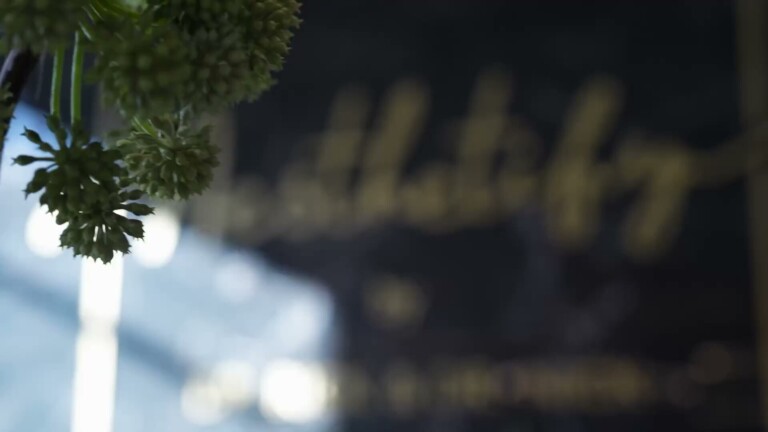 Aesthetify Berlin – Unscharfe Aufnahme mit Blumen vor der Aesthetify-Schrifttafel